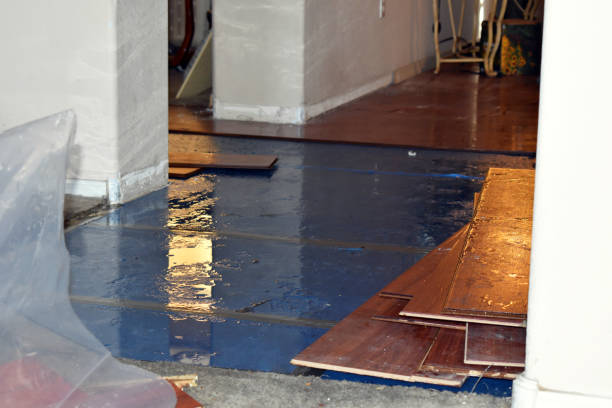 Professional Basement Flood Cleanup technician working in Killen, AL